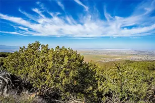 48725 Shallow Springs Rd, Leona Valley, CA 93551 - Photo 6