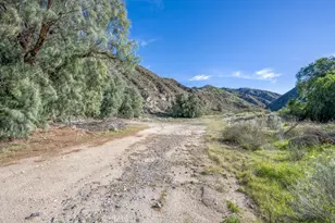 12571 Capra, Agua Dulce, CA 91390 - Photo 10