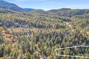 32703 Tulip Ln, Arrowbear, CA 92382 - Photo 46