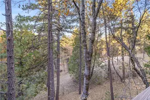 32703 Tulip Ln, Arrowbear, CA 92382 - Photo 32