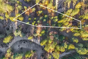 32703 Tulip Ln, Arrowbear, CA 92382 - Photo 44