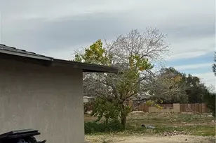 39044 162nd, Palmdale, CA 93591 - Photo 4