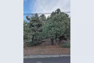 2024 Woodland Drive, Pine Mountain Club, CA 93222 - Photo 2