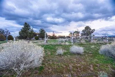 50216 255th, Lancaster, CA 93536 - Photo 36