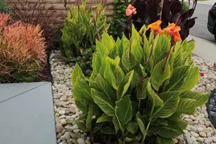 1575 River Wood Ct, Simi Valley, CA 93063 - Photo 4