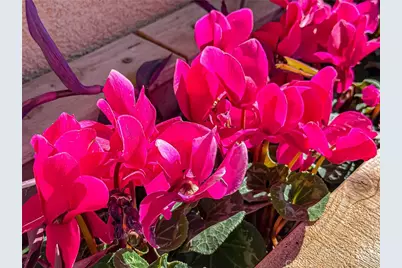 2458 Rondell, Camarillo, CA 93012 - Photo 48