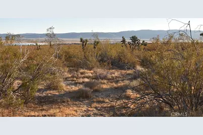 19300 Astoria Avenue, Rosamond, CA 93560 - Photo 2