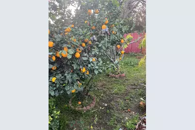 1335 N Niagara Street, Burbank, CA 91505 - Photo 22