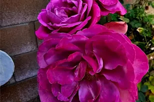 3359 W J2 Ave, Lancaster, CA 93536 - Photo 8