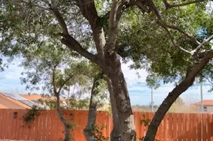 38342 5th, Palmdale, CA 93551 - Photo 6