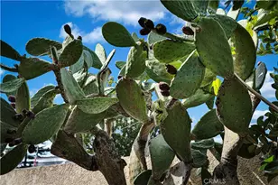 9243 Balfour, Pico Rivera, CA 90660 - Photo 32