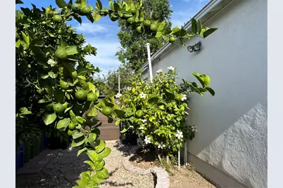 5785 Bertrand, Encino, CA 91316 - Photo 6