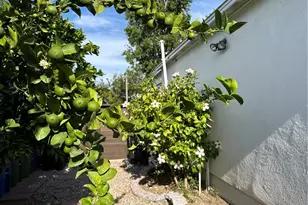 5785 Bertrand, Encino, CA 91316 - Photo 6