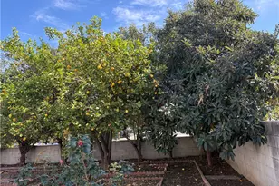 20107 Baltar St, Winnetka, CA 91306 - Photo 18