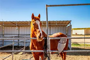 45408 160th, Lancaster, CA 93536 - Photo 44