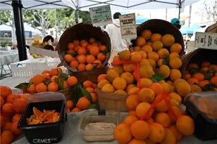 12060 Hoffman St, Studio City, CA 91604 - Photo 26