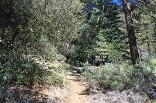 16324 Grizzly, Pine Mountain Club, CA 93222 - Photo 34