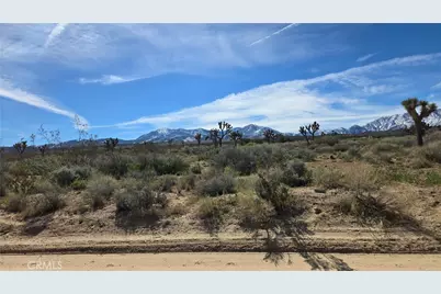 0 Fort Tejon Rd Vicinity 181st St E, Llano, CA 93544 - Photo 6