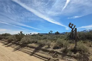 0 Fort Tejon Rd Vicinity 181st St E, Llano, CA 93544 - Photo 1