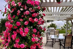 24525 Desert, Newhall, CA 91321 - Photo 56