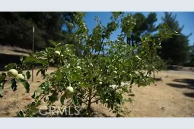 12145 Twin Springs Road, Descanso, CA 91916 - Photo 12