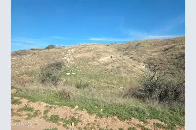 0 Briggs, Agua Dulce, CA 91350 - Photo 6