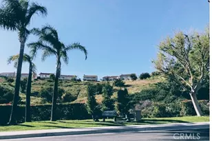 19736 Crystal Hills Ln, Porter Ranch, CA 91326 - Photo 22
