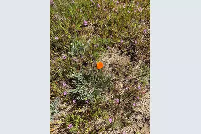 0 Lebec Road, Lebec, CA 93243 - Photo 2