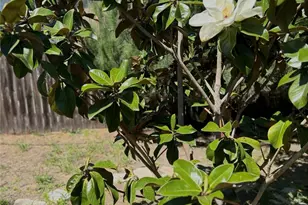 1042 W 15th, San Pedro, CA 90731 - Photo 30