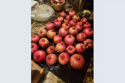 33150 Big Springs, Acton, CA 93510 - Photo 26