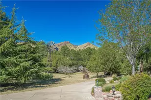 11340 Morgan, Agua Dulce, CA 91390 - Photo 6