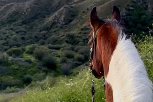 11519 Orcas Ave, Sylmar, CA 91342 - Photo 40