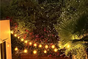 2364 Canyon Dr, Los Angeles, CA 90068 - Photo 40