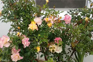 37 Hastings Ave, Ventura, CA 93003 - Photo 40