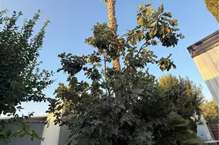 8801 Eton Ave, Canoga Park, CA 91304 - Photo 4