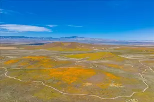 46472 Kings Canyon Rd, Lancaster, CA 93536 - Photo 34