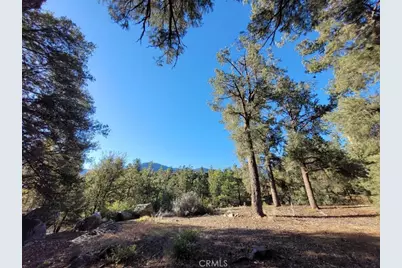 15913 Wildwood Drive, Pine Mountain Club, CA 93222 - Photo 1