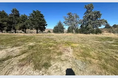 40007 92nd Street, Leona Valley, CA 93551 - Photo 2