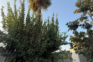 8801 Eton Ave, Canoga Park, CA 91304 - Photo 10