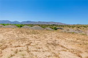 11126 E Ave W 8, Pearblossom, CA 93553 - Photo 48