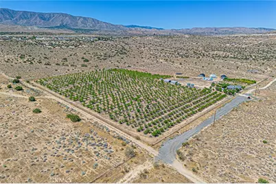 11126 E Avenue W8, Pearblossom, CA 93553 - Photo 4