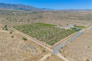 11126 E Ave W 8, Pearblossom, CA 93553 - Photo 4