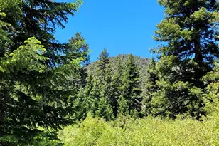 1308 Banff, Pine Mountain Club, CA 93222 - Photo 20