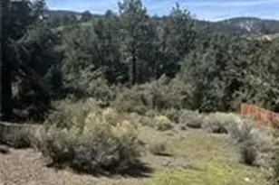 2029 Zermatt Dr, Pine Mountain Club, CA 93222 - Photo 1