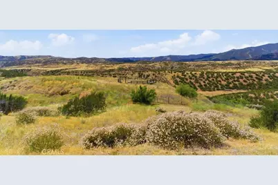 33737 Steele, Agua Dulce, CA 91390 - Photo 10