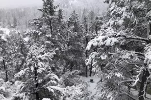 2800 Rainier Way, Pine Mountain Club, CA 93222 - Photo 64