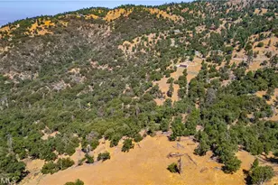 29600 Goldspike Rd, Tehachapi, CA 93561 - Photo 40