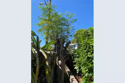 3111 Halldale Ave., Los Angeles, CA 90018 - Photo 8