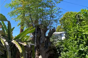 3111 Halldale Ave, Los Angeles, CA 90018 - Photo 8