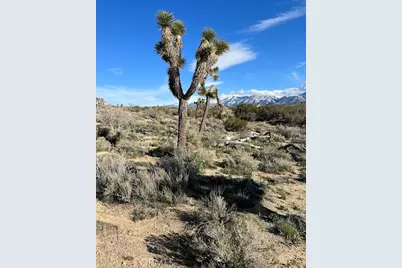 0 Vac/Fort Tejon Pav /Vic Avenue, Pearblossom, CA 93553 - Photo 24